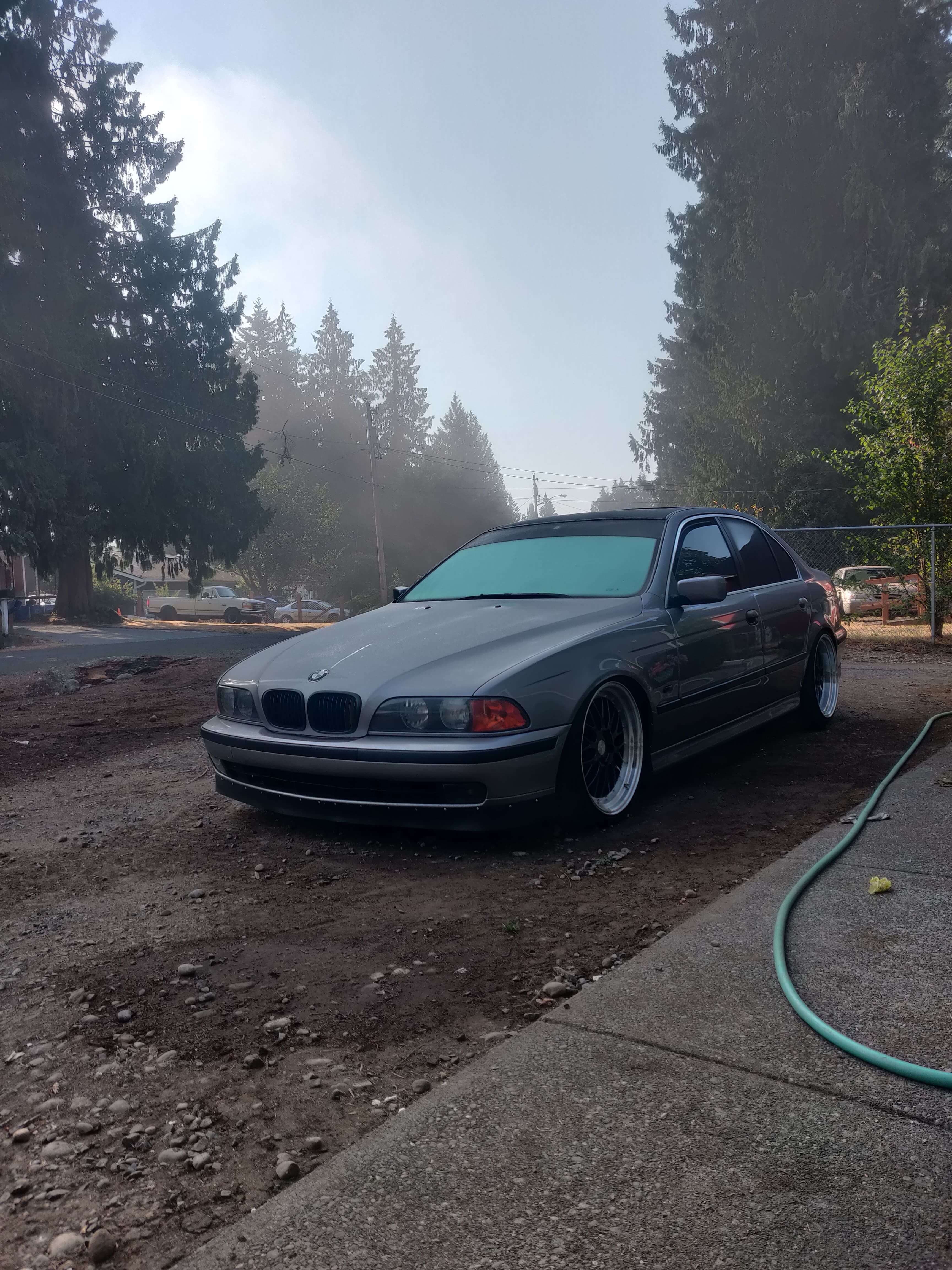 BMW on a foggy morning with our ozone machine running